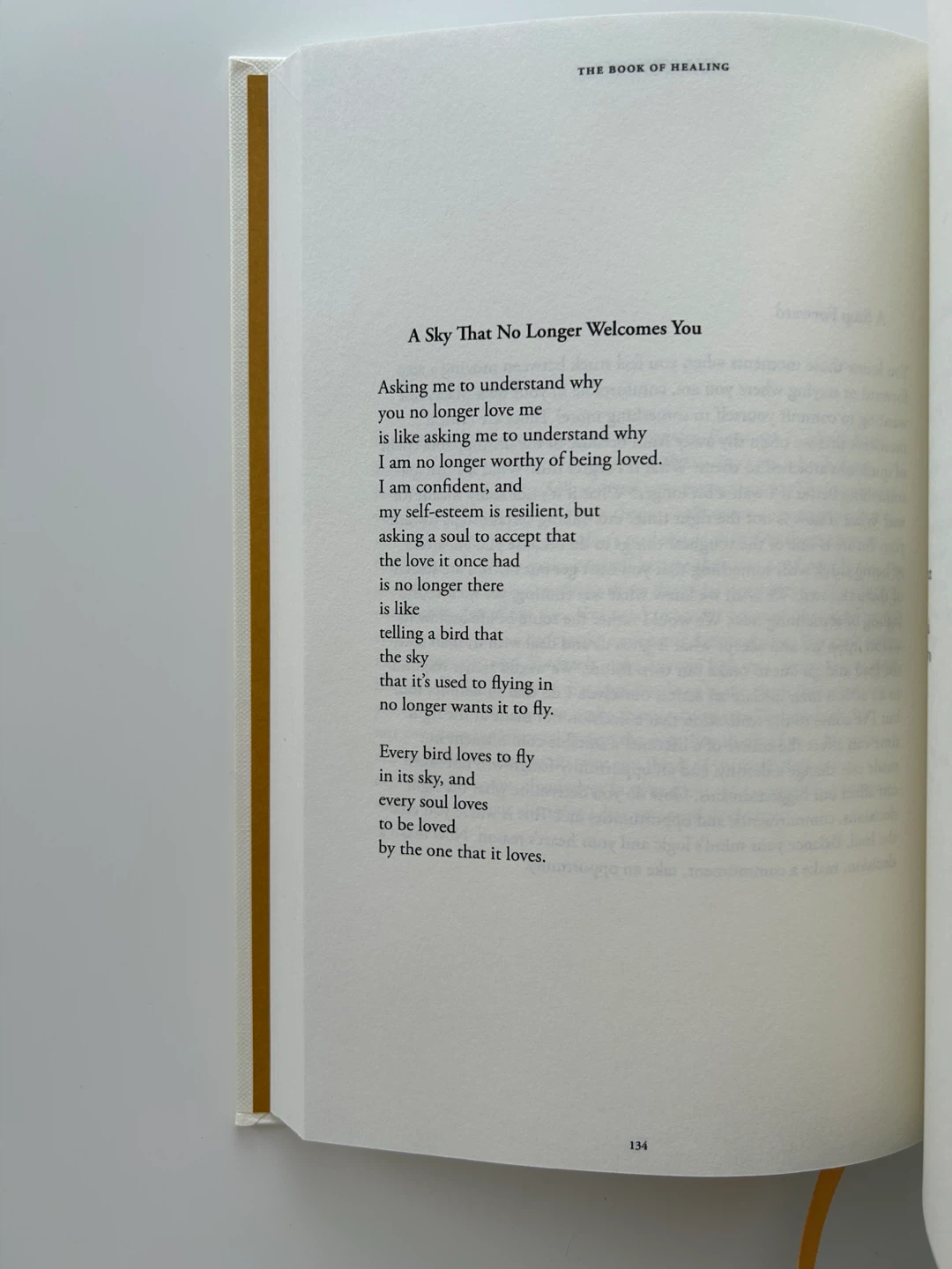 The Book of Healing: Selected Poetry and Prose by Najwa Zebian - photo 4