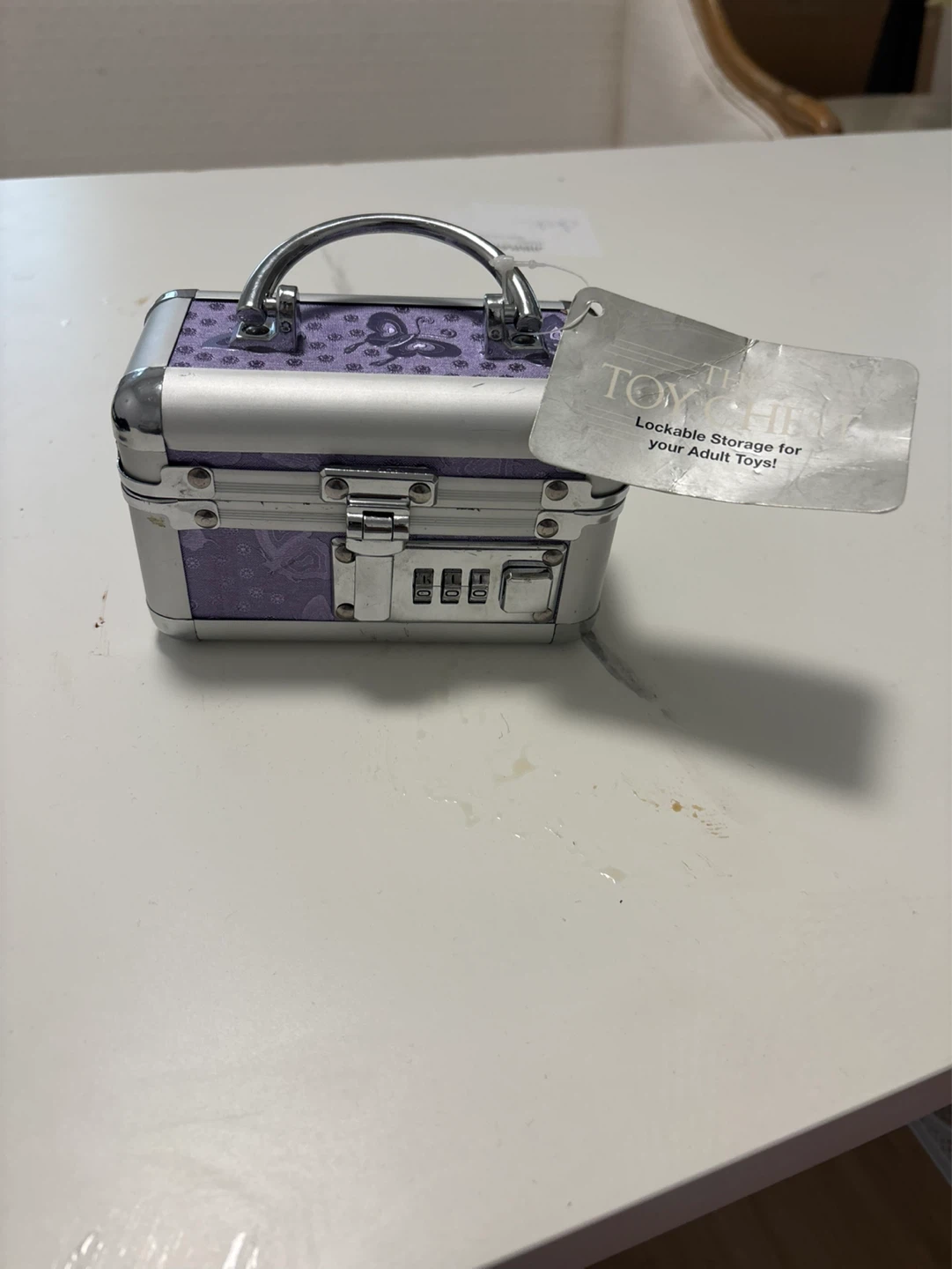 The Toy Chest Lockable Storage Box