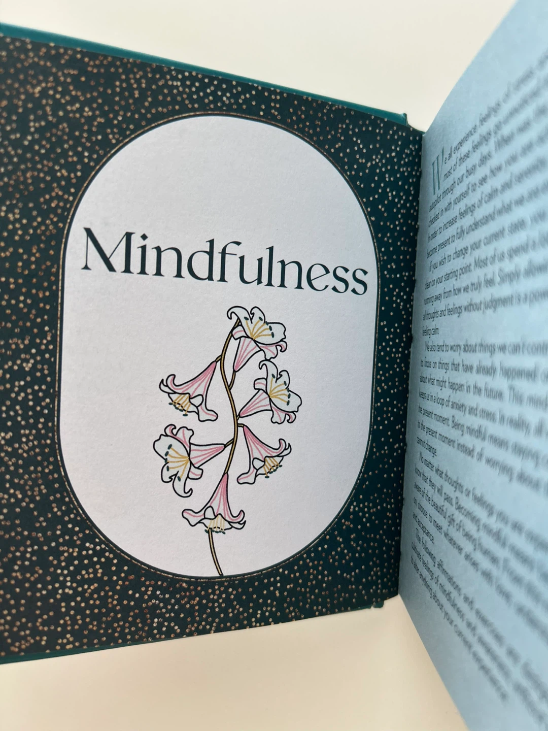 Calm: 100 Affirmations for Serenity Book - photo 5