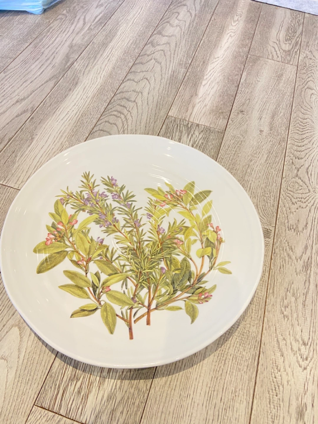 Decorative Plate with Botanical Design