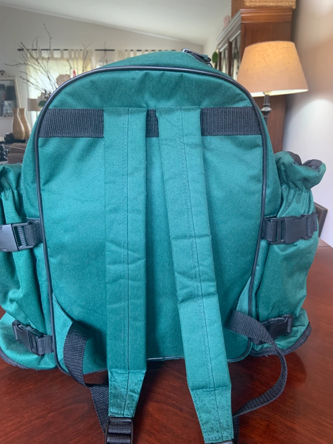 Green Picnic Backpack with Utensils and Plates - photo 2