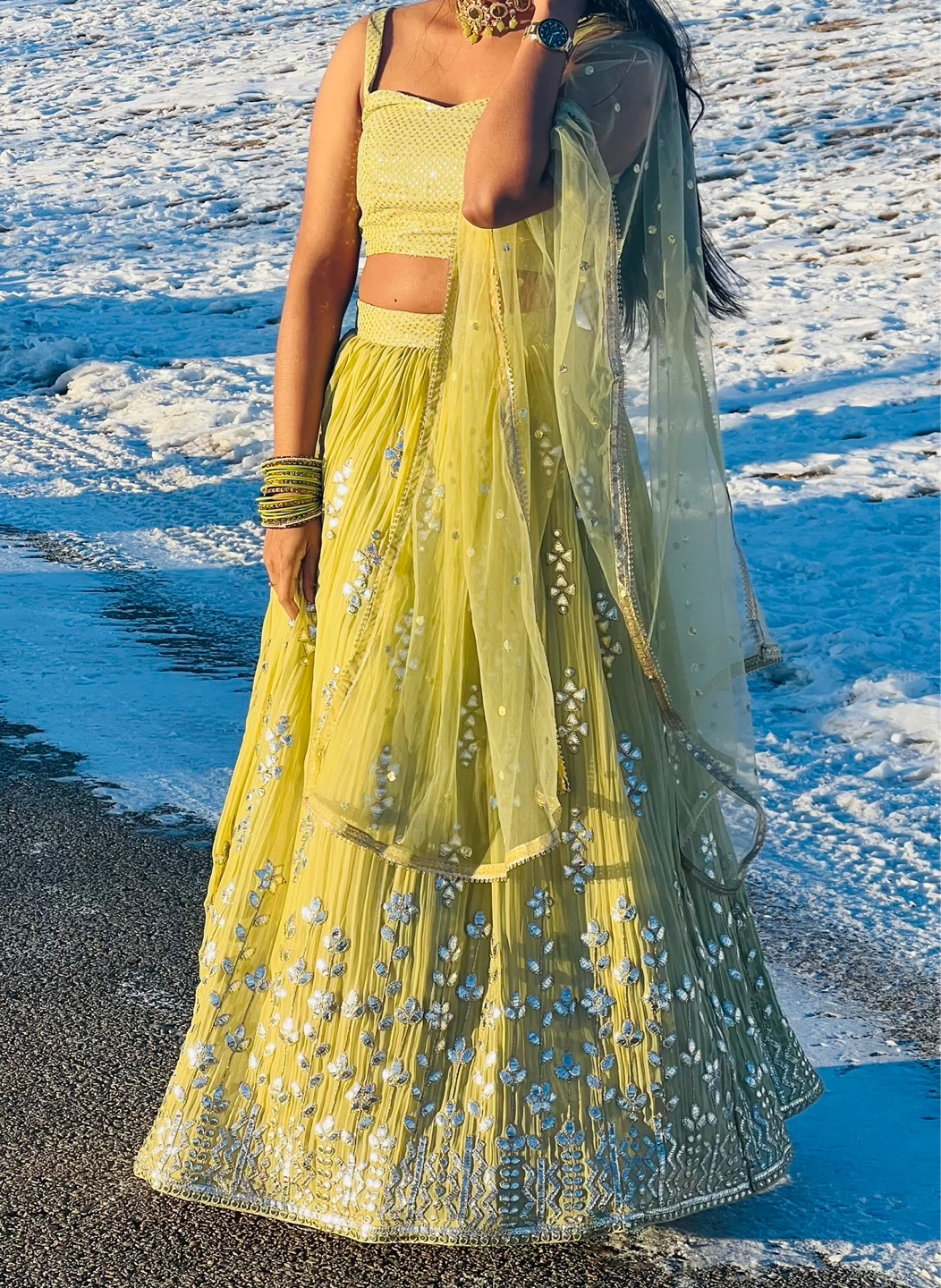 Women's Light Green Embroidered Lehenga Choli with Dupatta