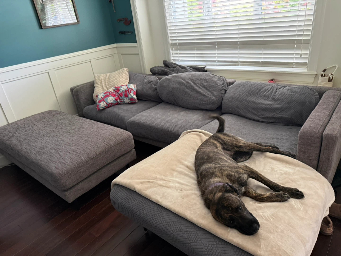 Grey Sectional Sofa with Ottoman
