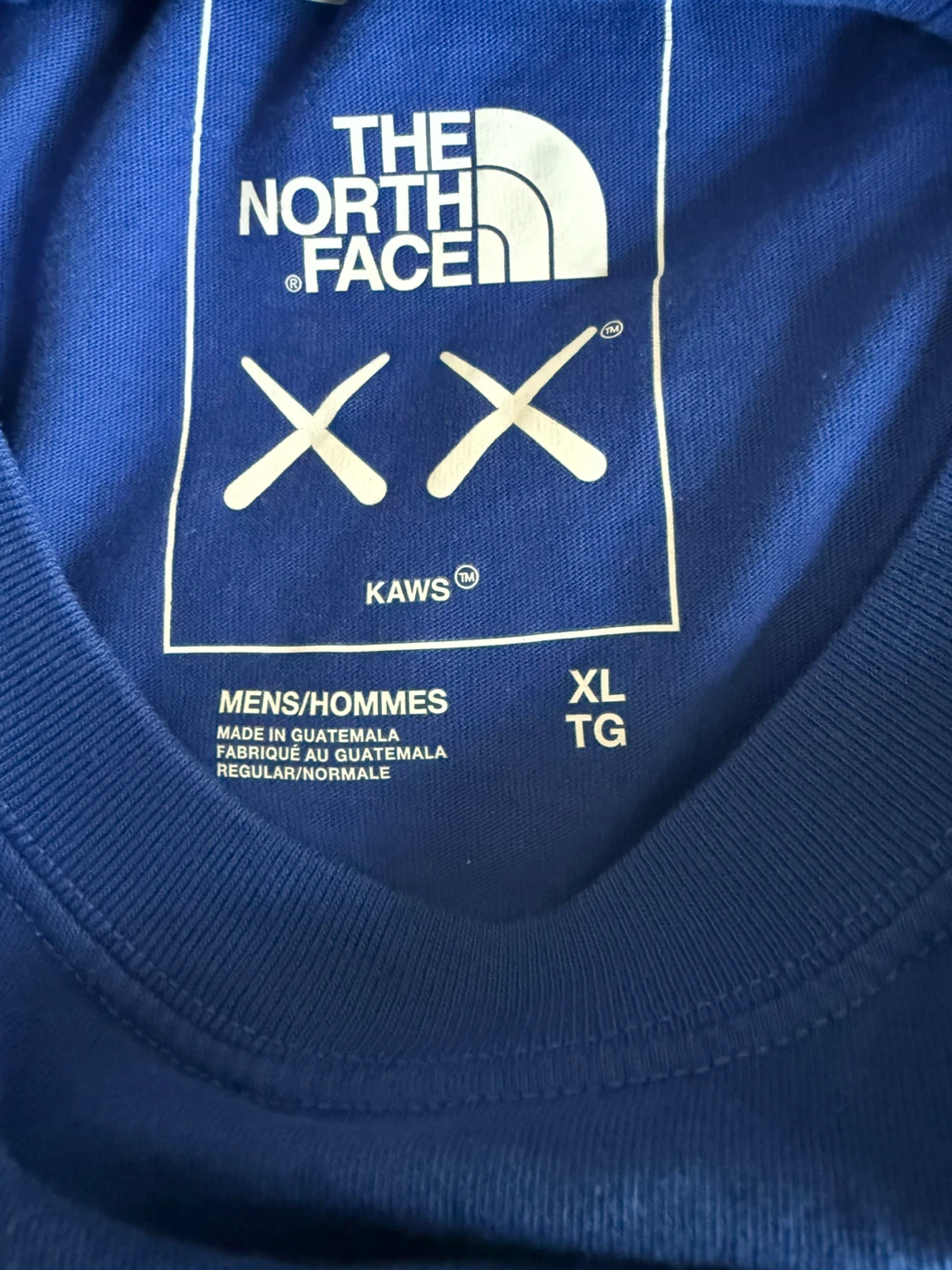 The North Face x KAWS T-Shirt XL Royal Blue