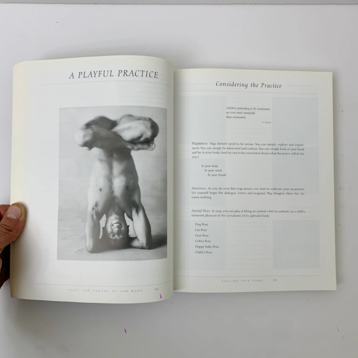 Yoga Book Rodney Yee Yoga Poses Fitness Health Books Guide - photo 5