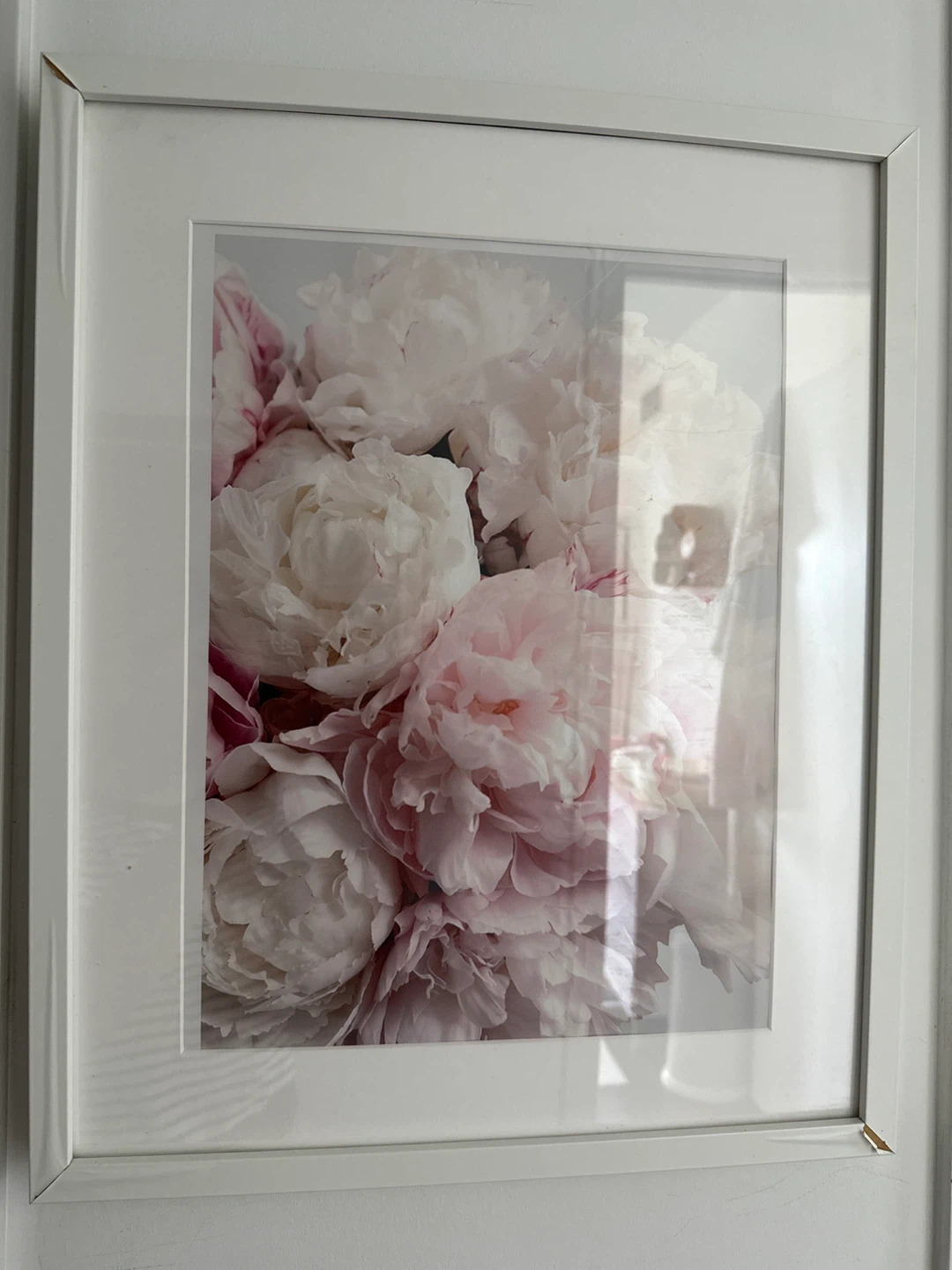 Framed Peony Artwork
