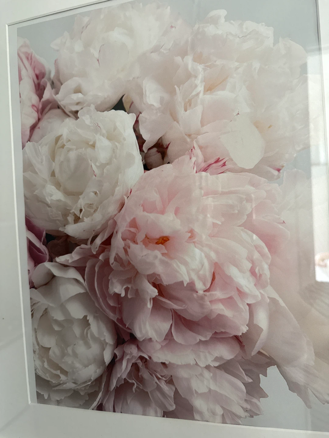Framed Peony Artwork - photo 2