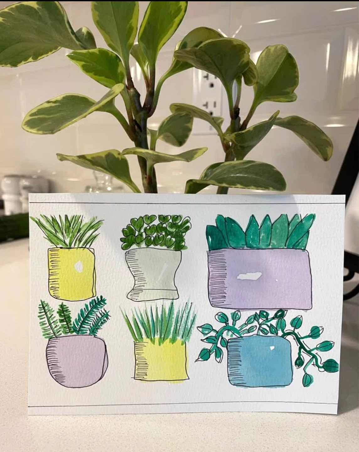 Watercolour Flower Paintings - photo 5