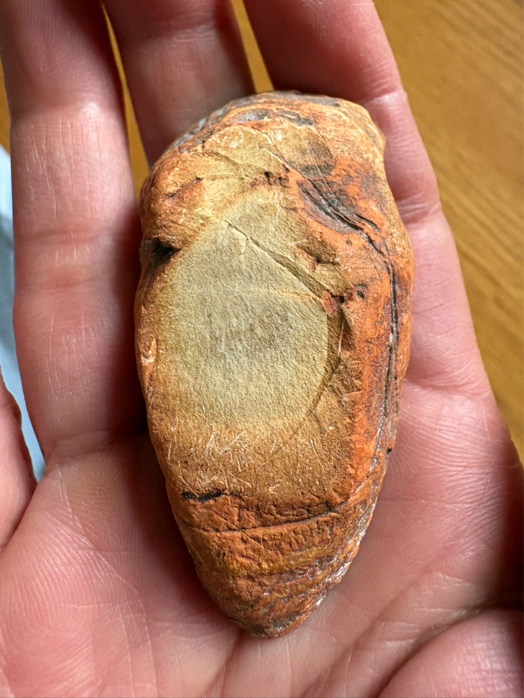 Loyal imperial jasper - photo 2