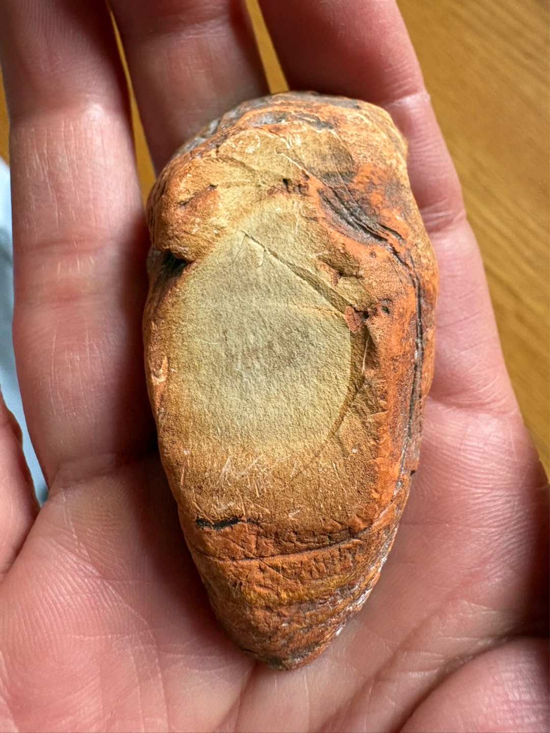 Loyal imperial jasper - photo 3