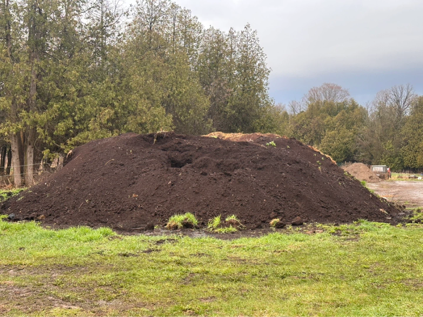 Composted 🐴 💩for sale