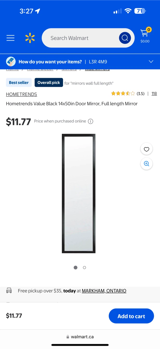HOMETRENDS Door Mirror 14 in. W x 50 in. H - photo 3