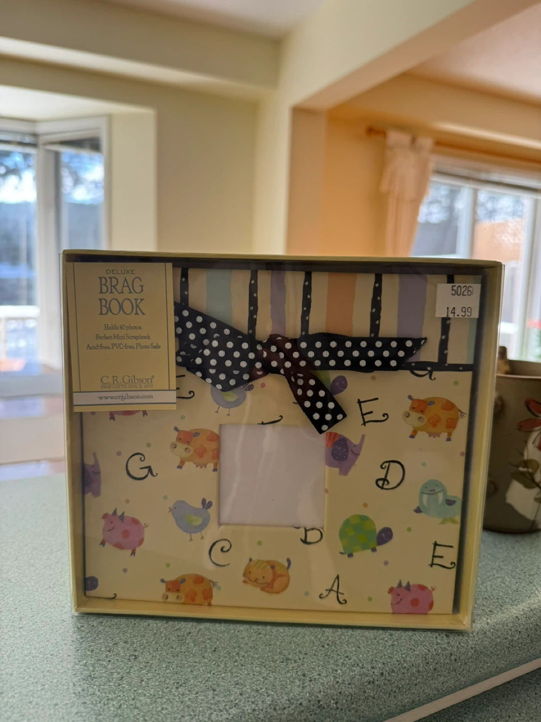C.R. Gibson Deluxe Brag Book Mini Scrapbook
