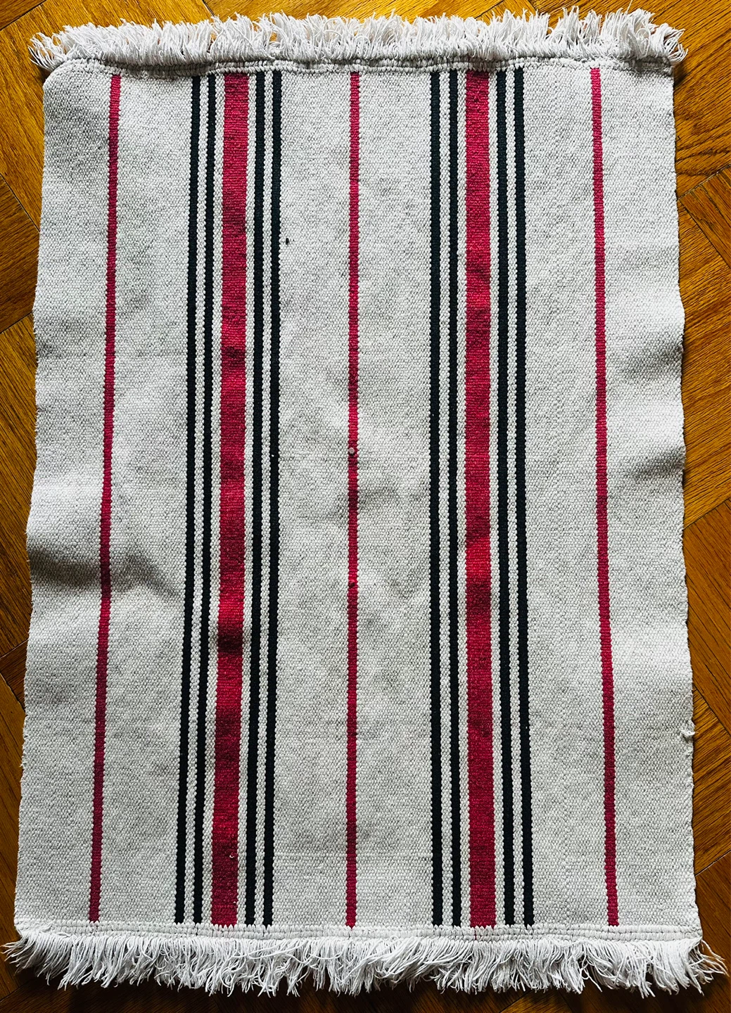 Striped 21”x31” Accent Rug with Fringe