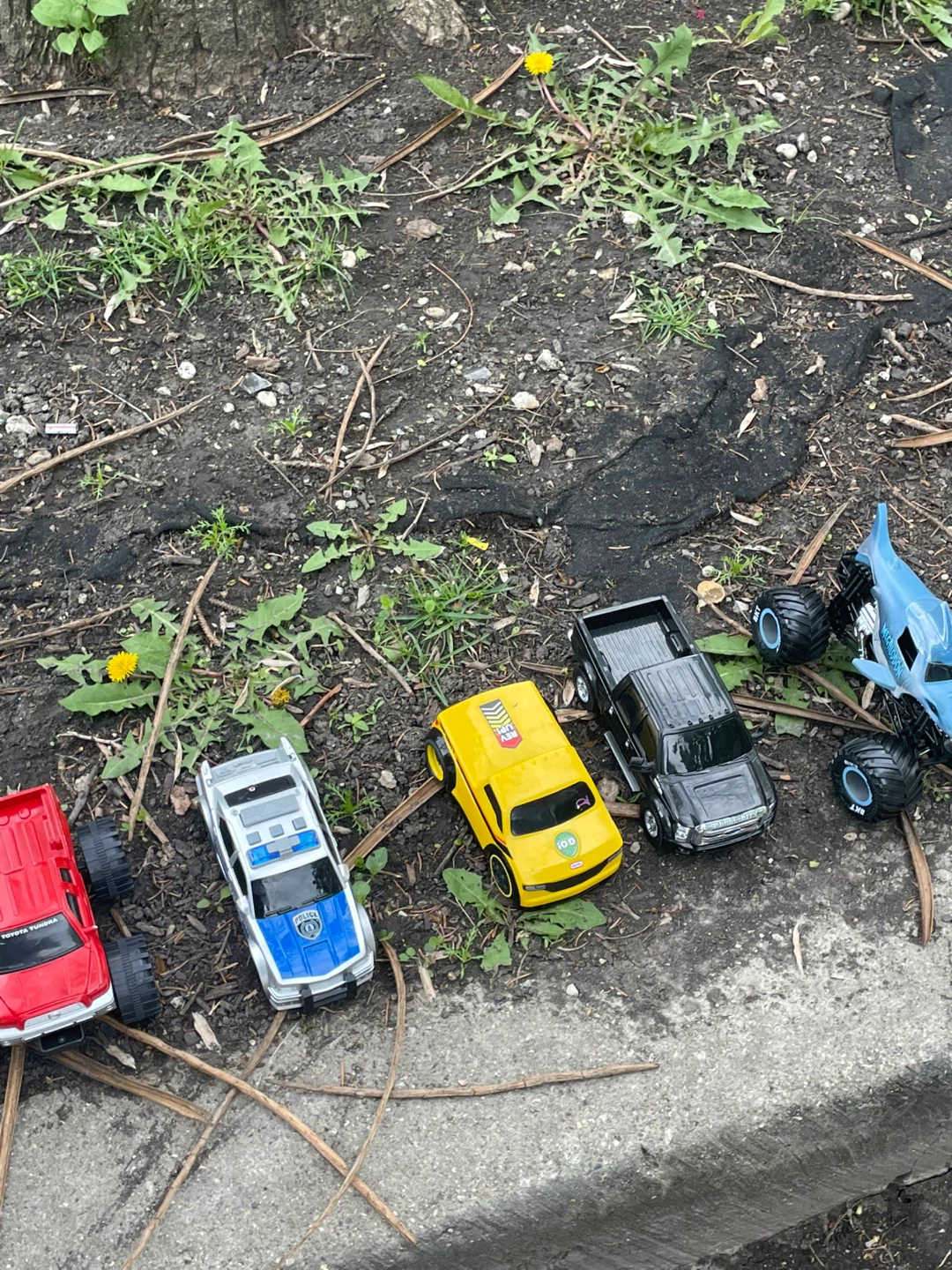 Toy Monster Trucks and Cars