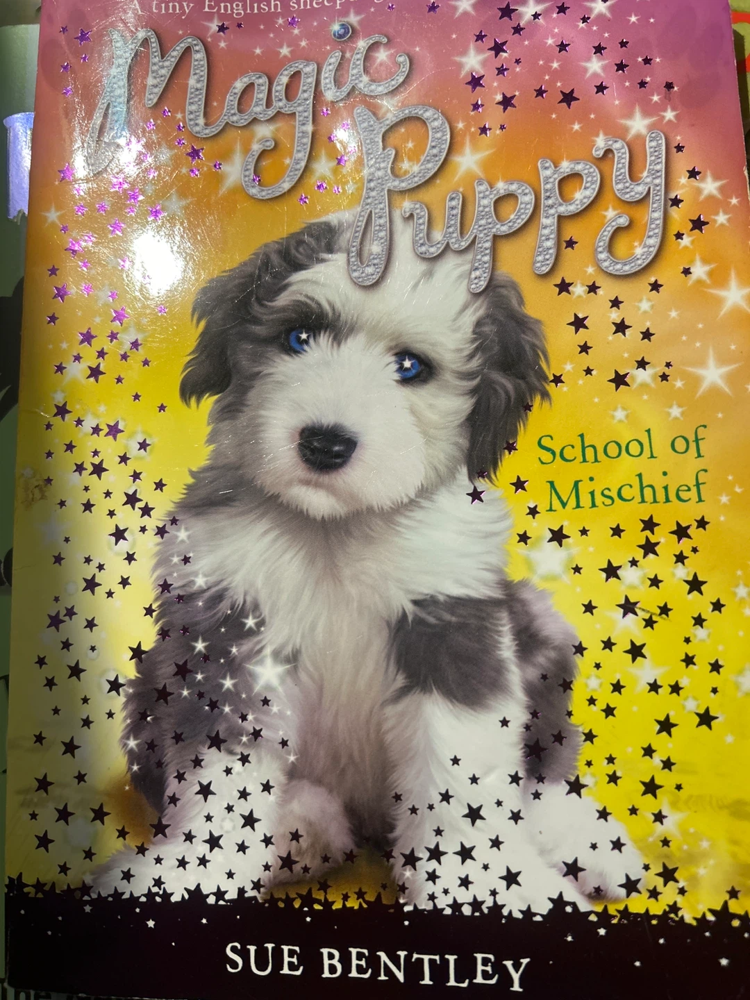 Magic Puppy: School of Mischief Book by Sue Bentley