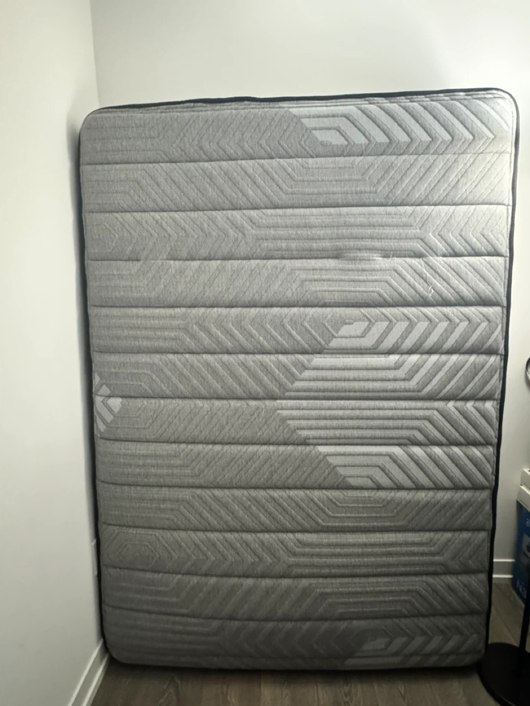 SEALY Sealy Posturepedic Georgina Medium Twin Mattress