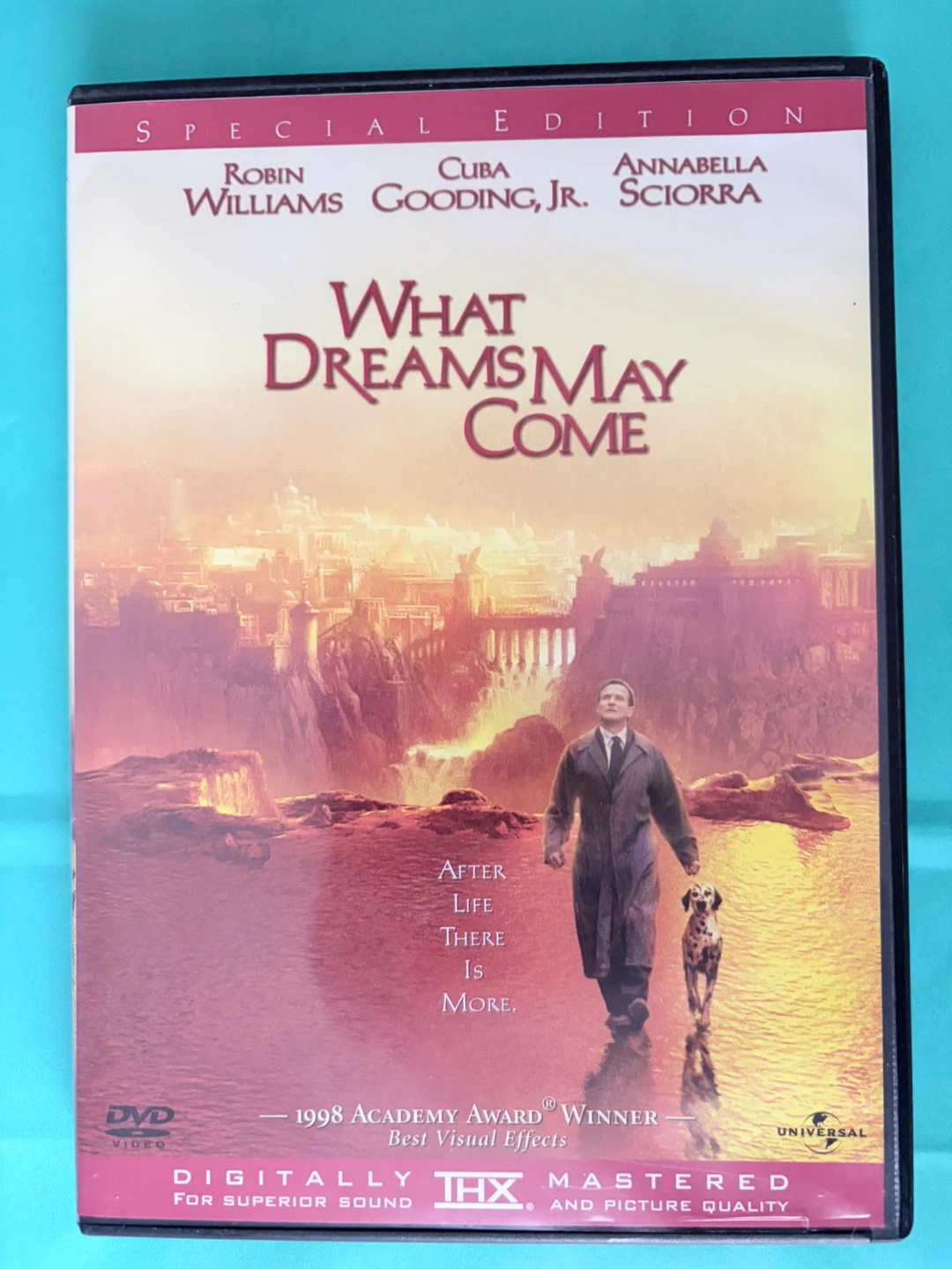 What Dreams May Come Special Edition DVD