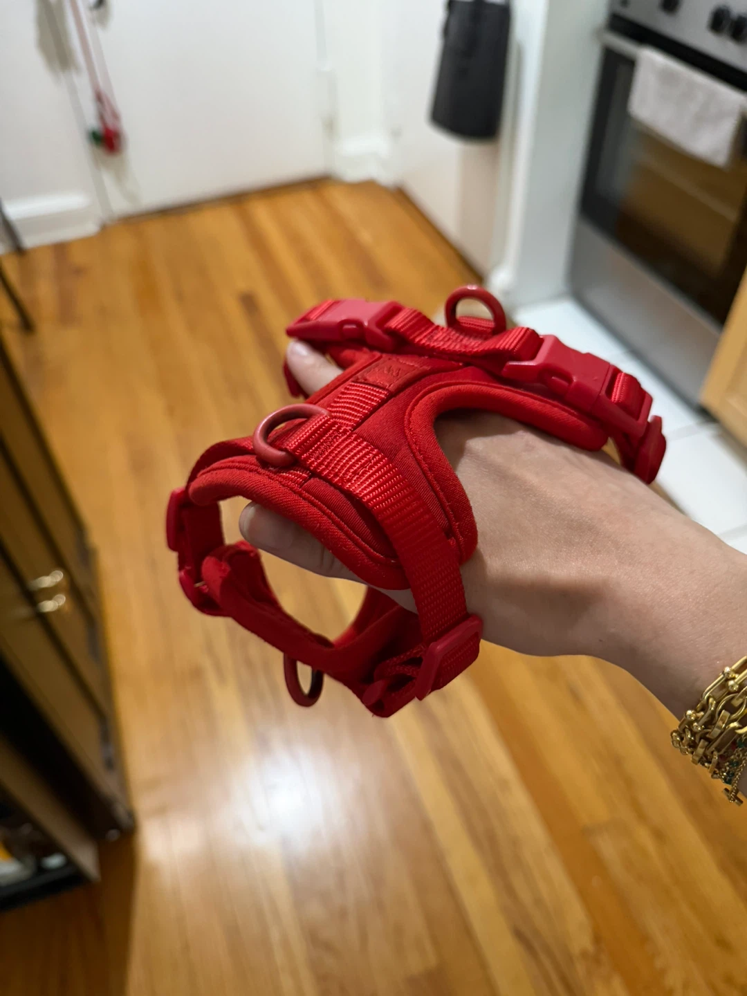 Wild One Red Dog Harness XS - photo 2