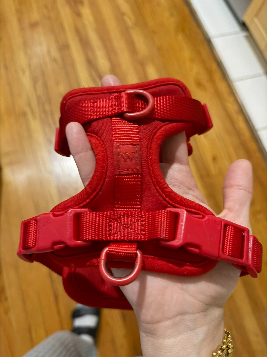 Wild One Red Dog Harness XS
