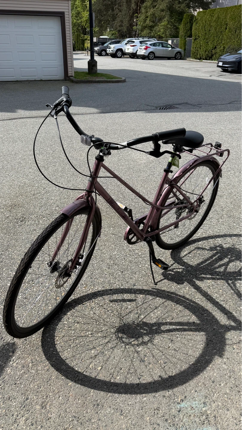 Raleigh Hybrid women’s bike