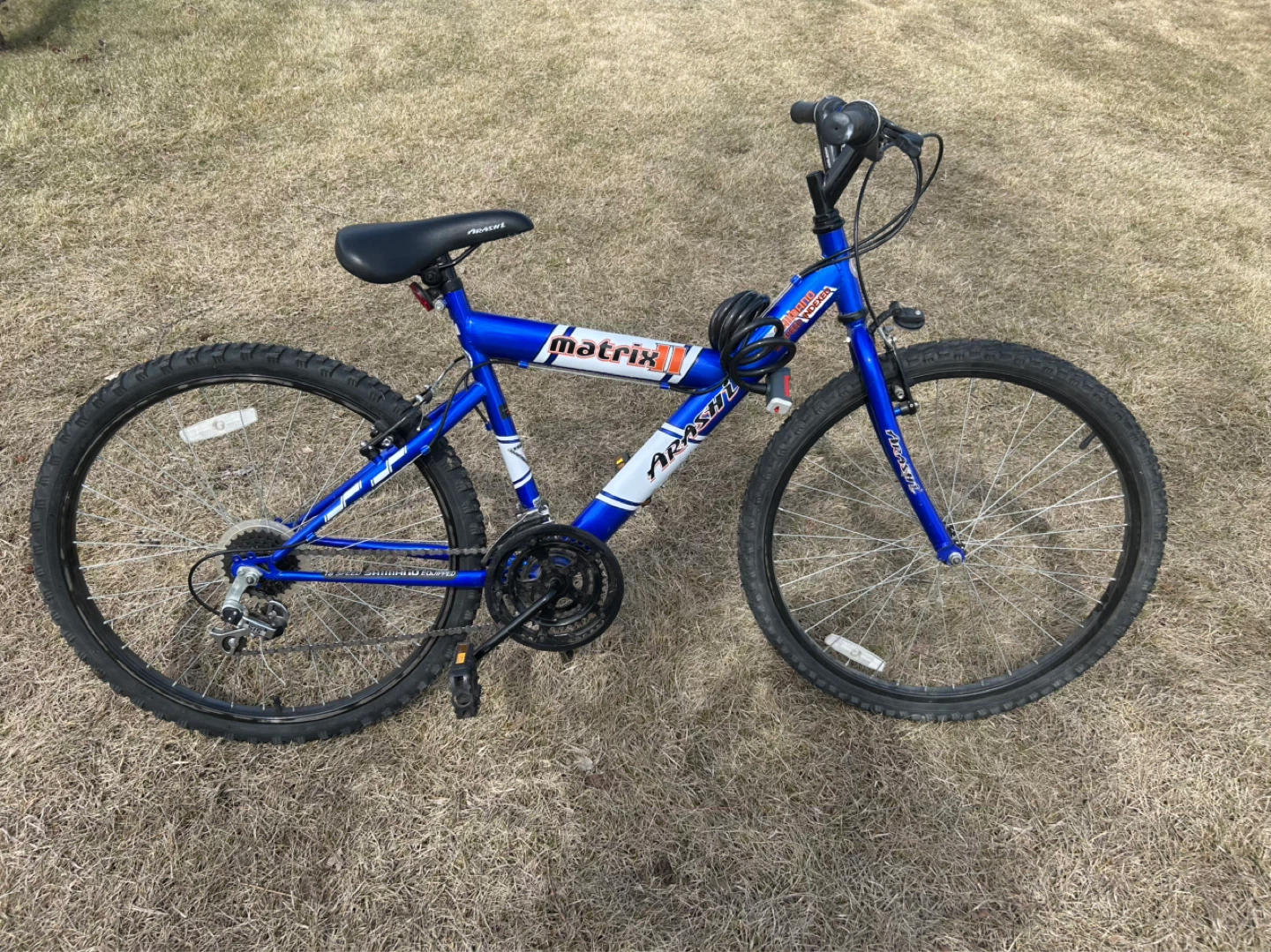 Matrix II Arashi Blue Mountain Bike