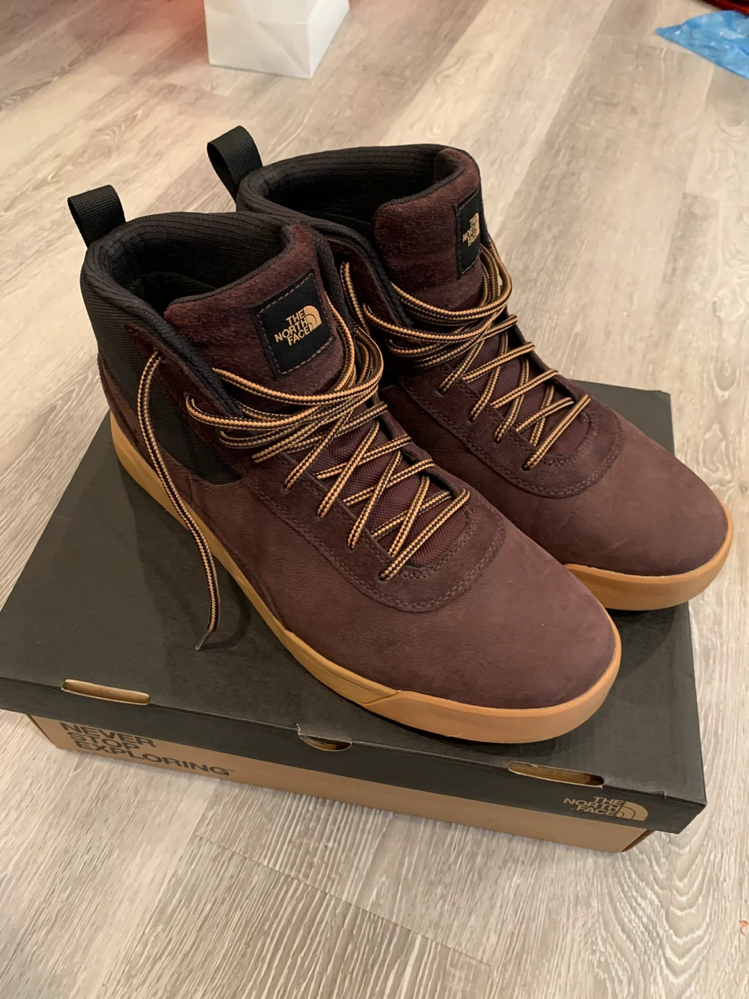 The North Face Larimer Mid Waterproof Boots (12)