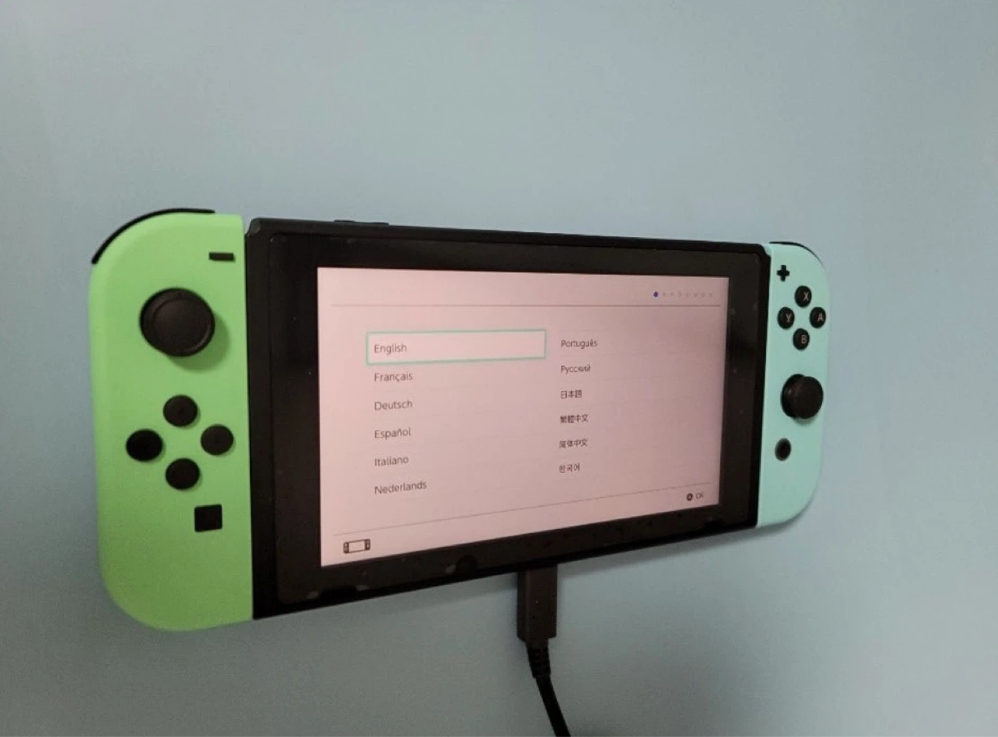 Nintendo Switch animal crossing edition