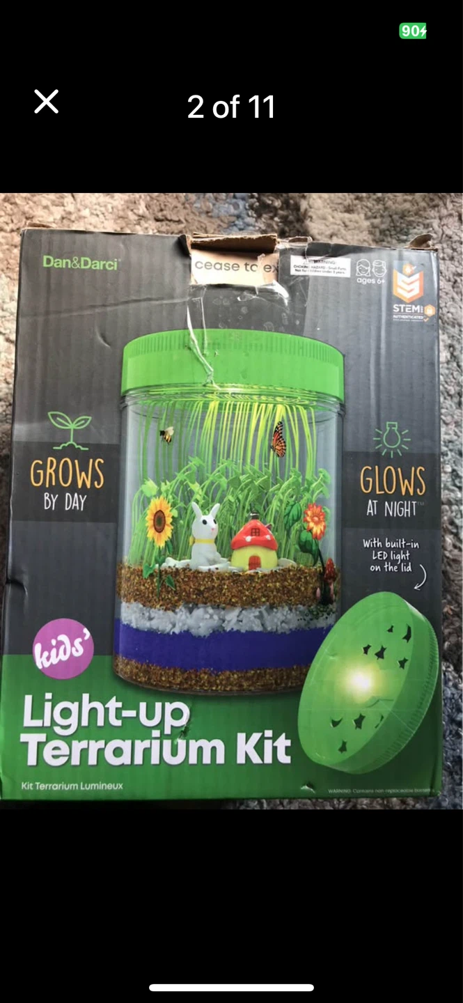 Kids light up terrarium