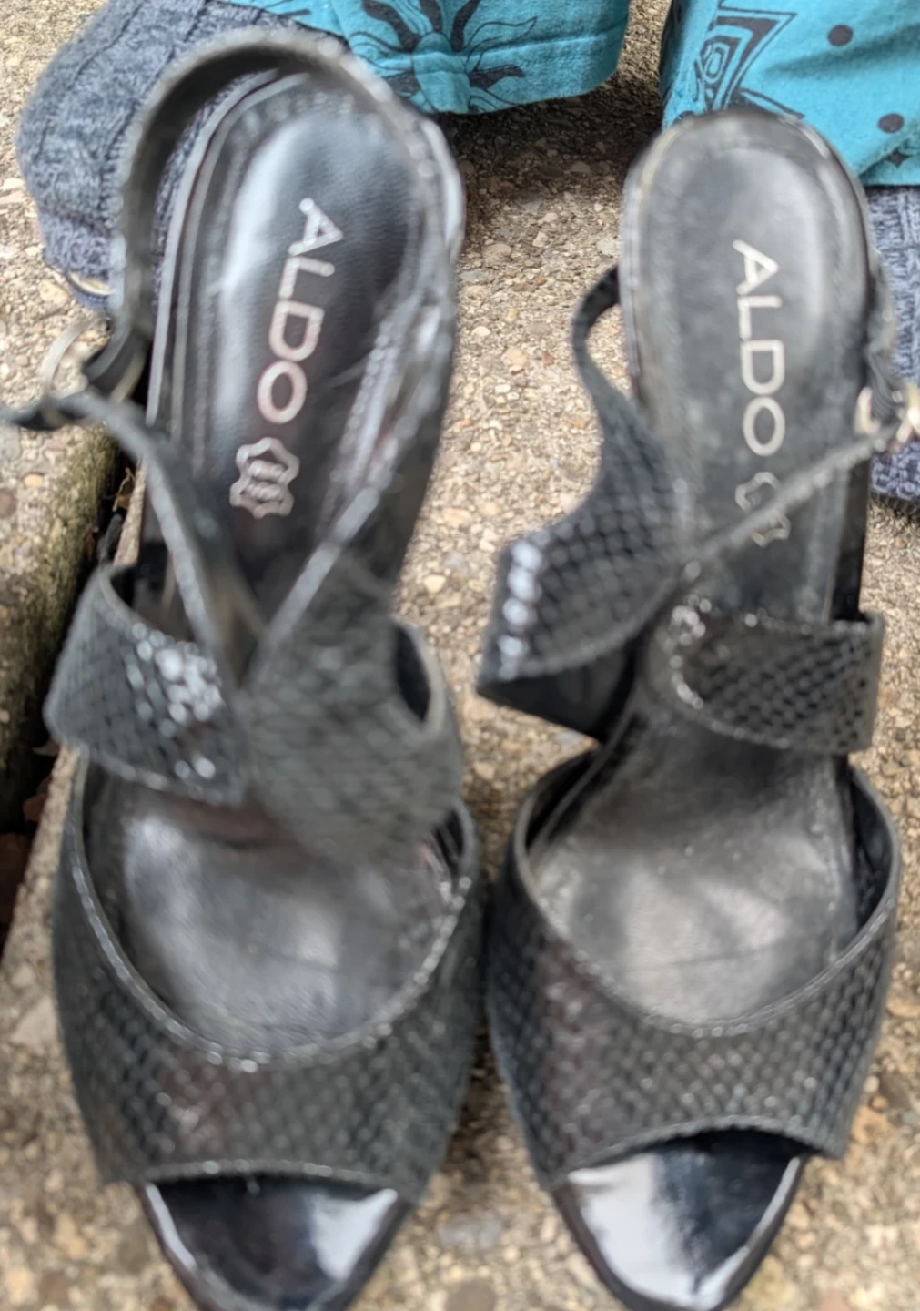 ALDO Black Snake Print Heels