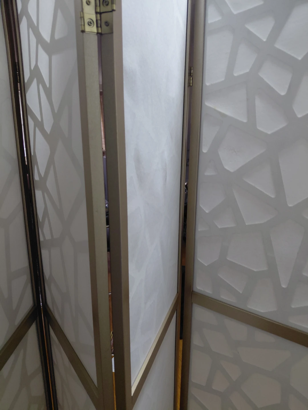 Decorative Room Divider Screen - photo 2