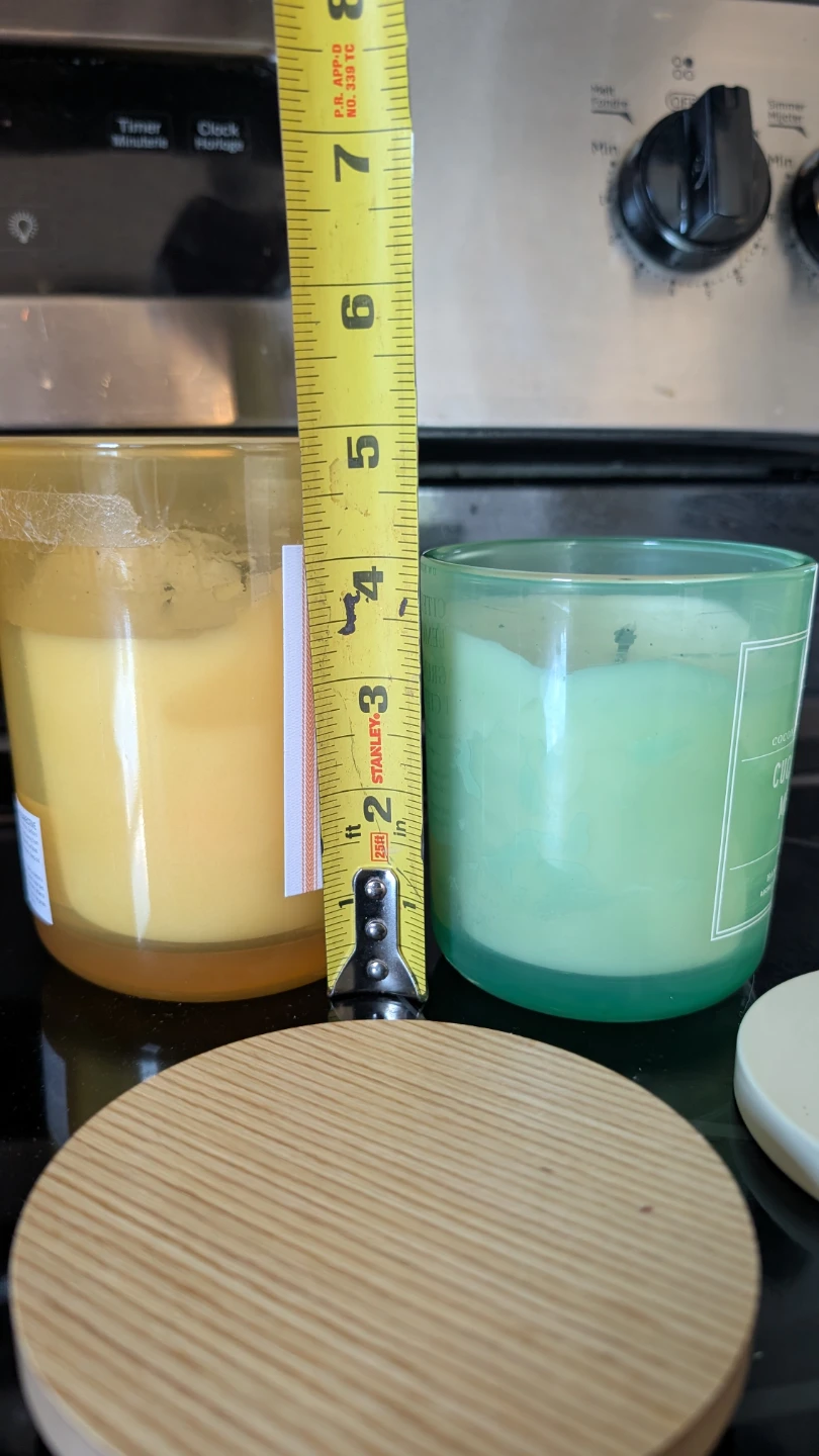 DW Home Citrus Lemon & Cucumber Melon Candles - photo 4