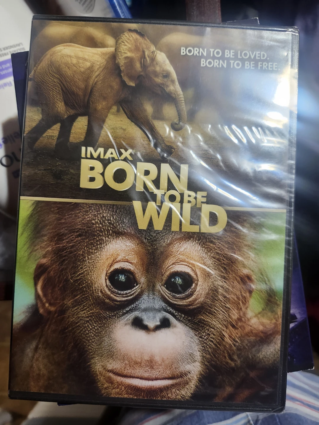 IMAX Born to Be Wild DVD