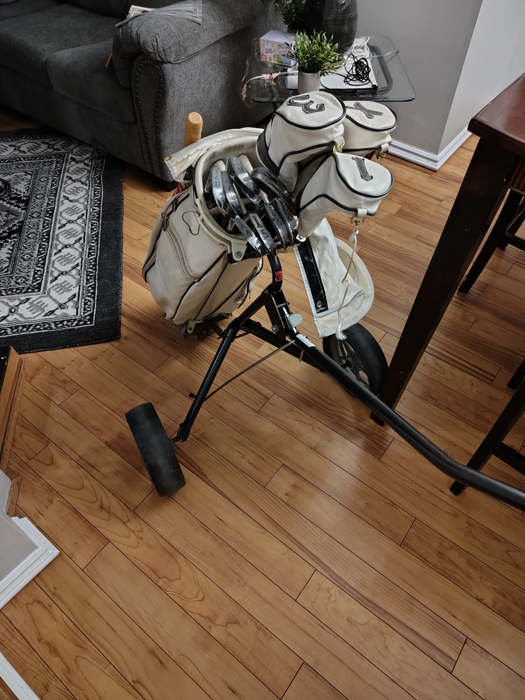 Spalding Golf Club Set with Bag and Cart