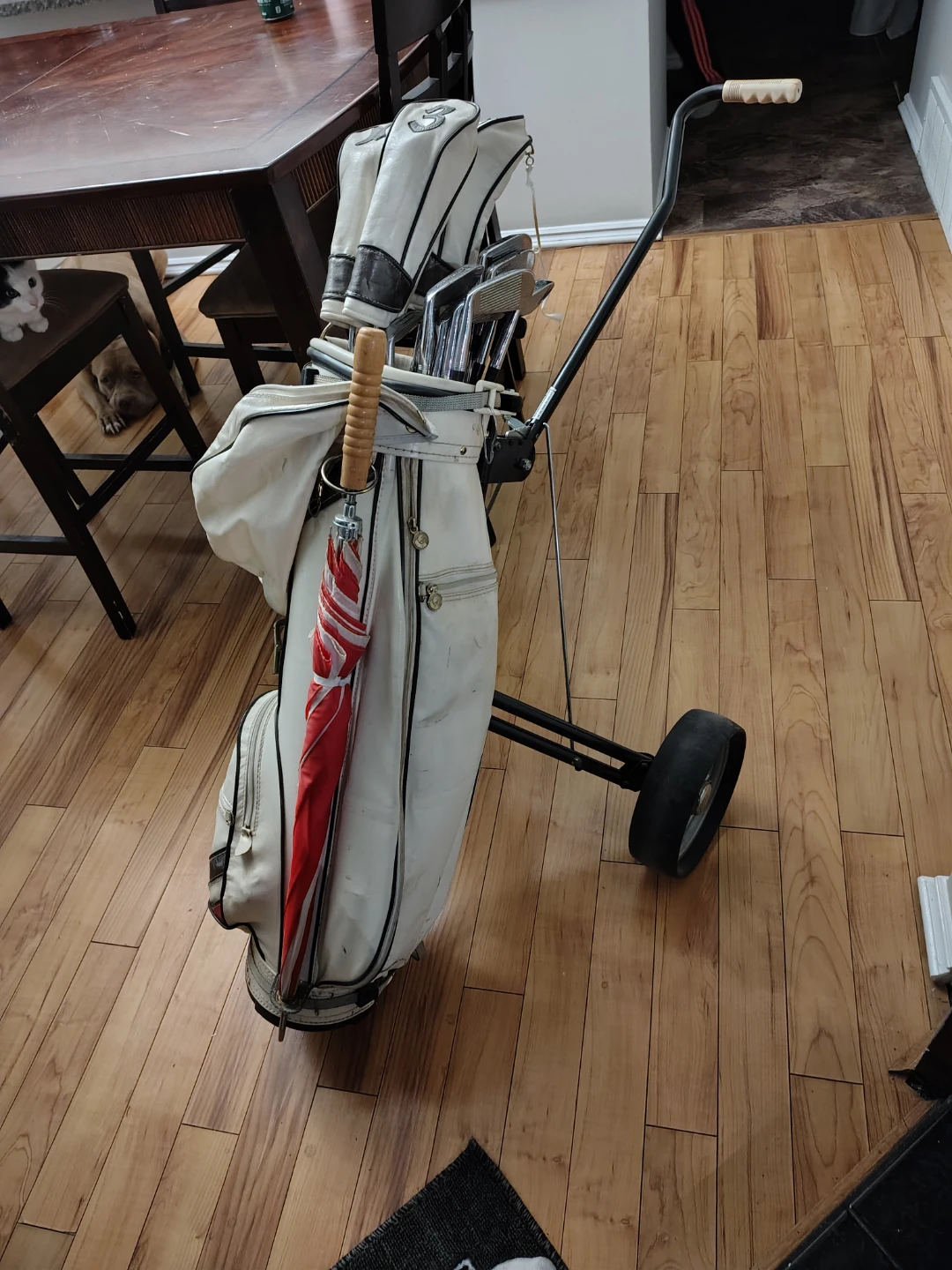 Spalding Golf Club Set with Bag and Cart - photo 2
