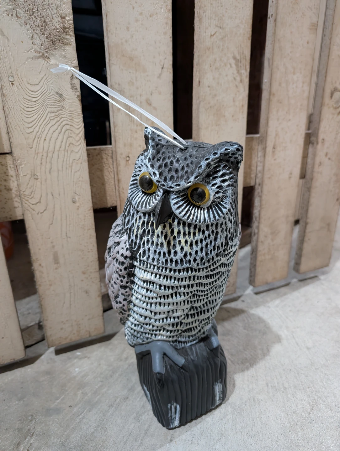 Plastic Owl Decoy