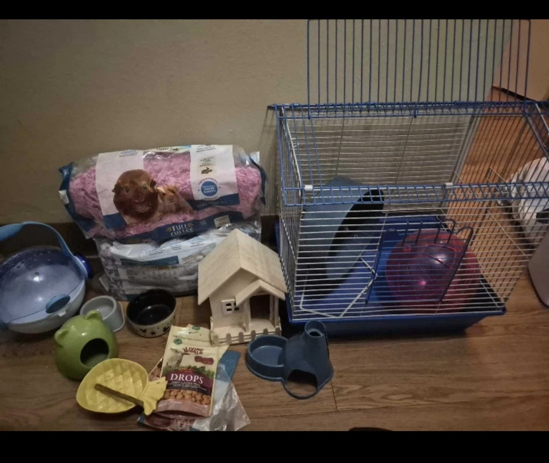 Hamster Supplies