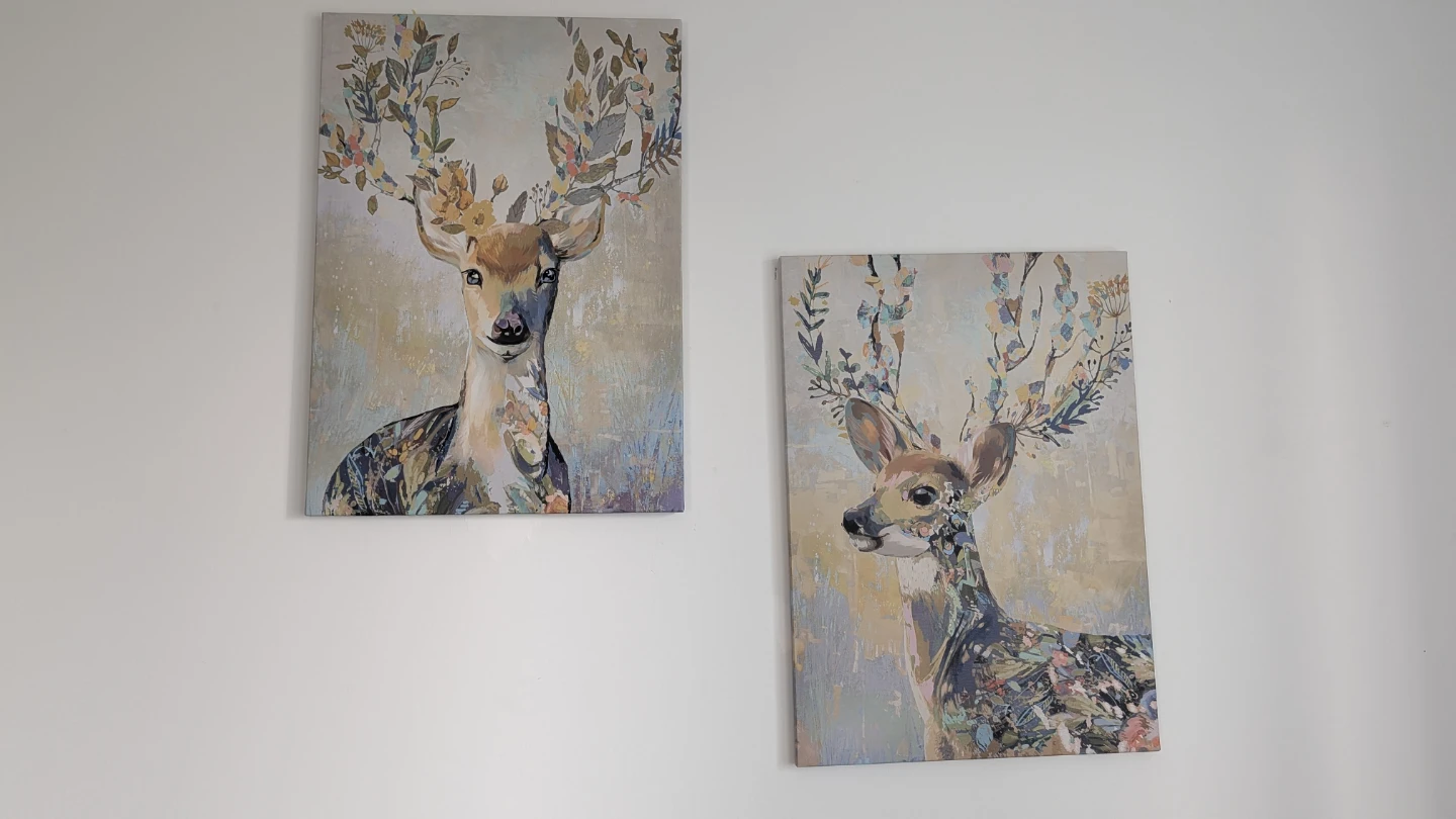 Set of 2 Deer Wall Art Canvases