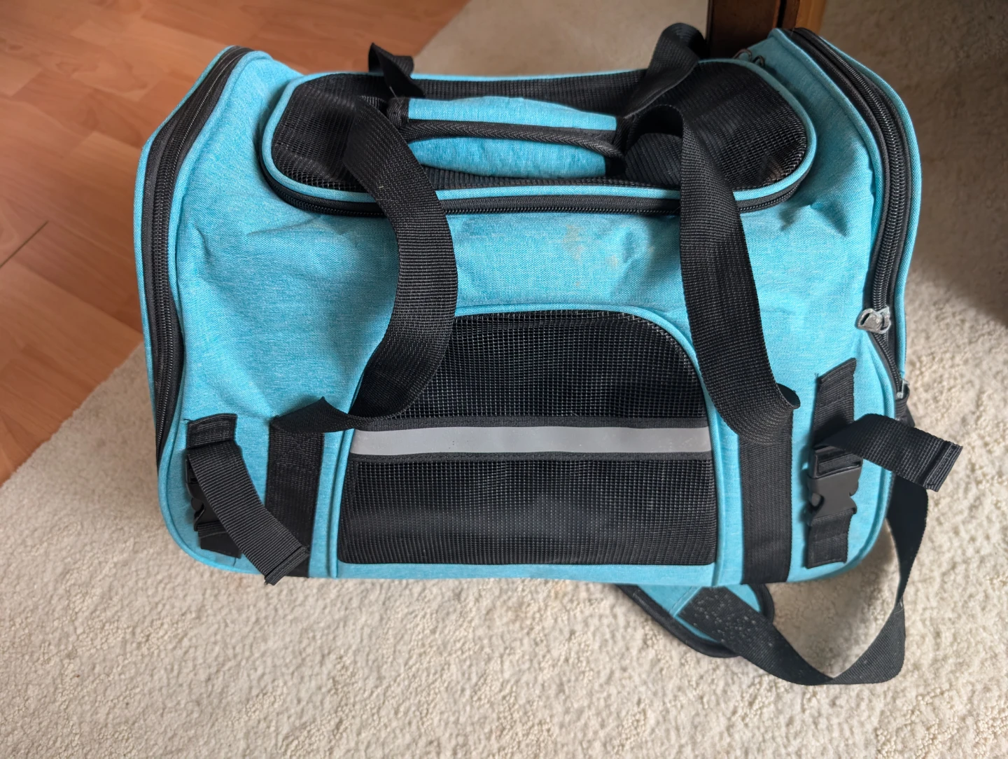Blue Pet Carrier Bag