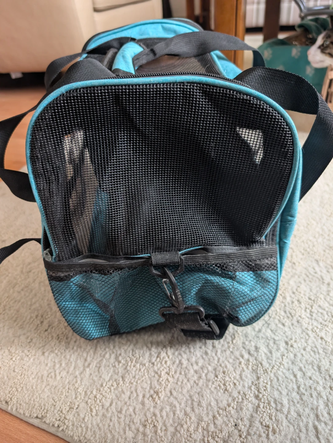 Blue Pet Carrier Bag - photo 2