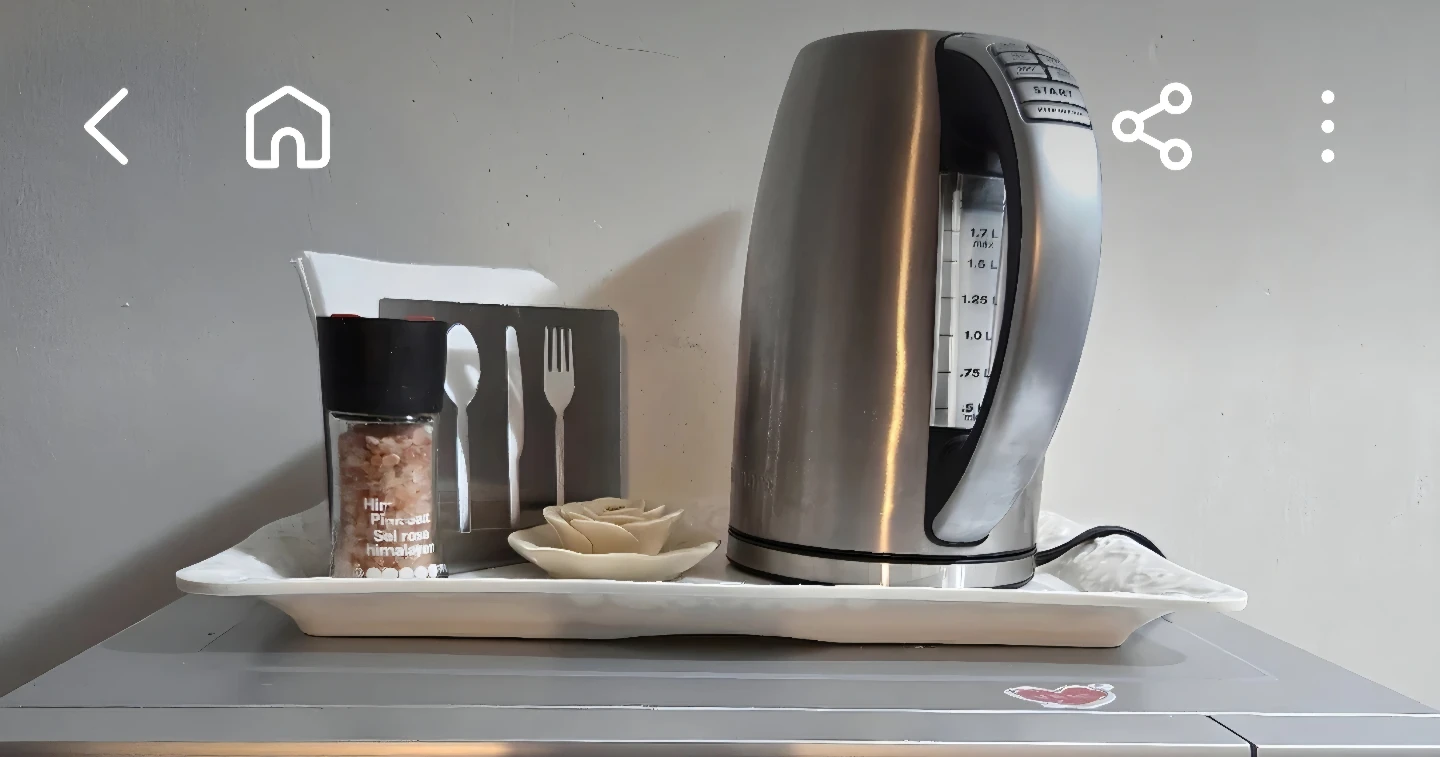 Stainless Steel Electric Kettle