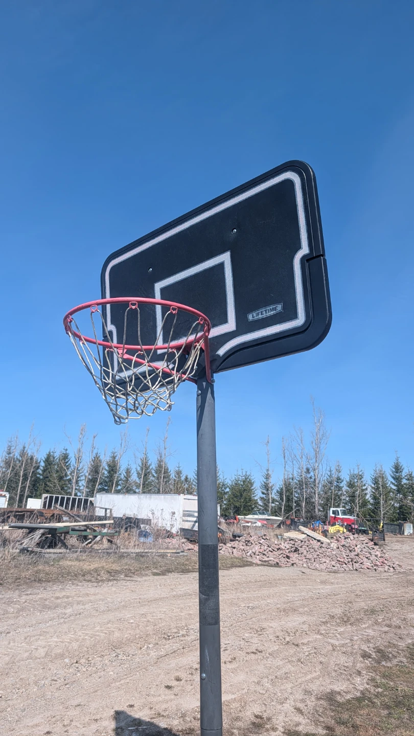 Lifetime Adjustable Basketball Hoop