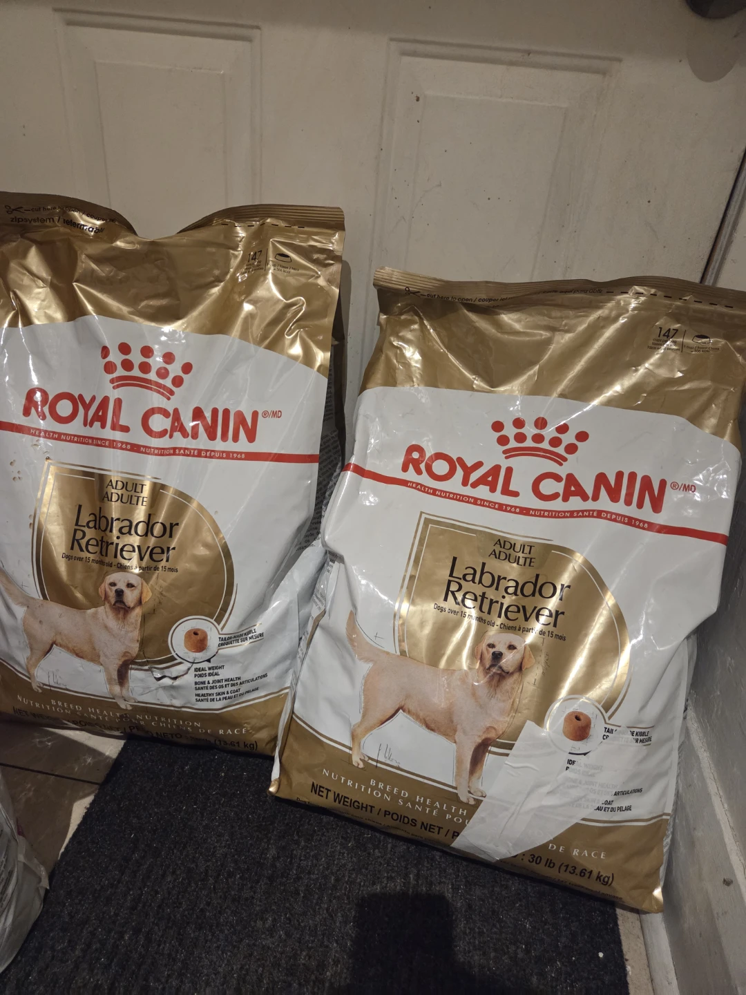 Royal Canin Adult Labrador Retriever Dog Food - 2 x 30 lb Bags