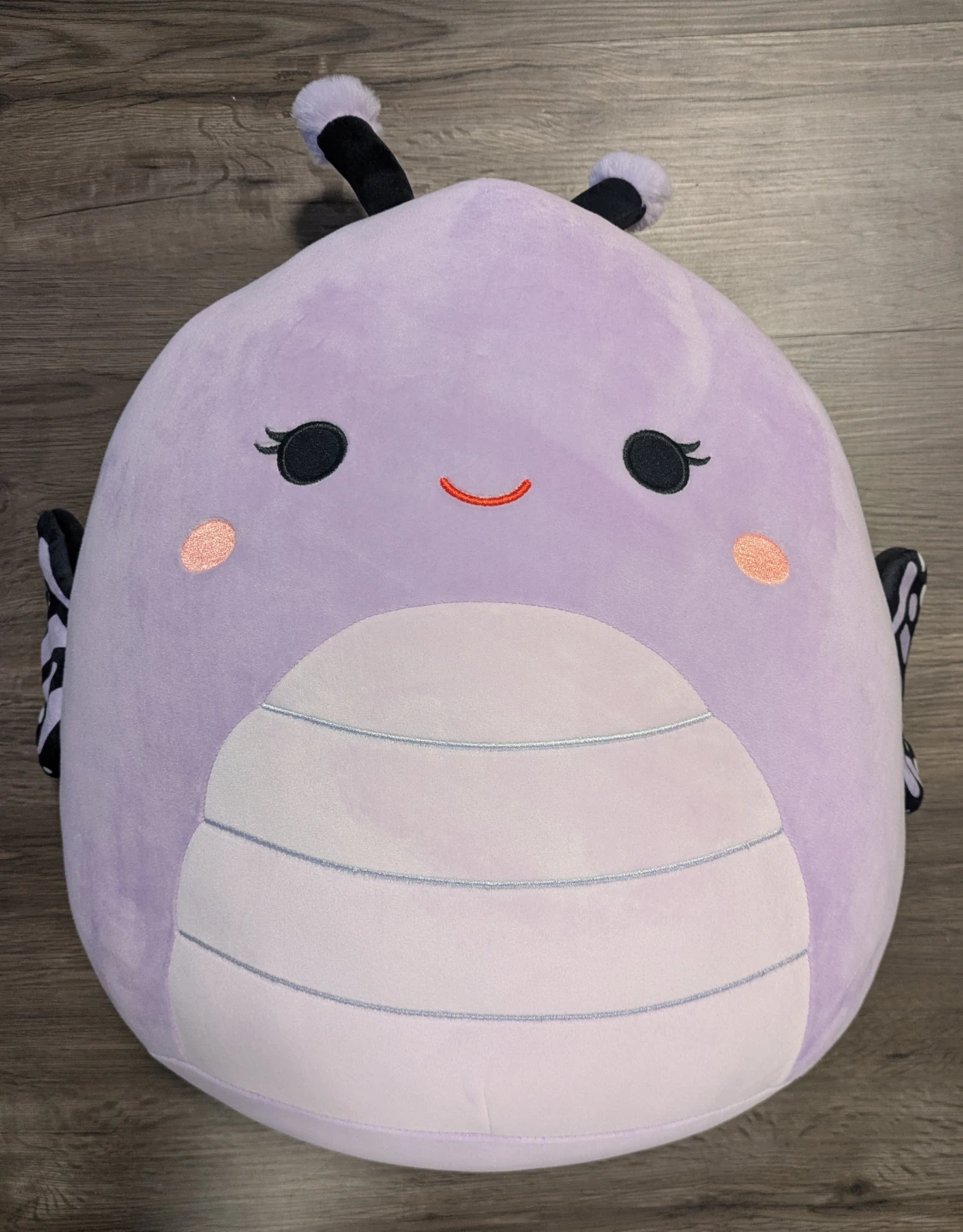 Butterfly Squishmallow