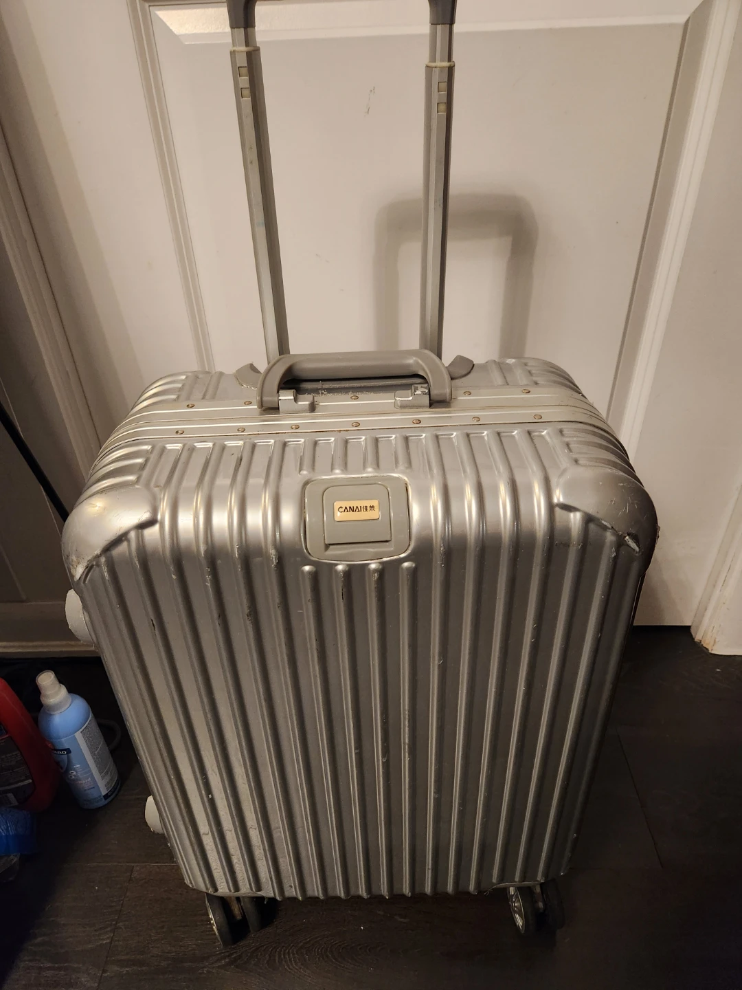 CANADII 20" Silver Hardside Spinner Luggage