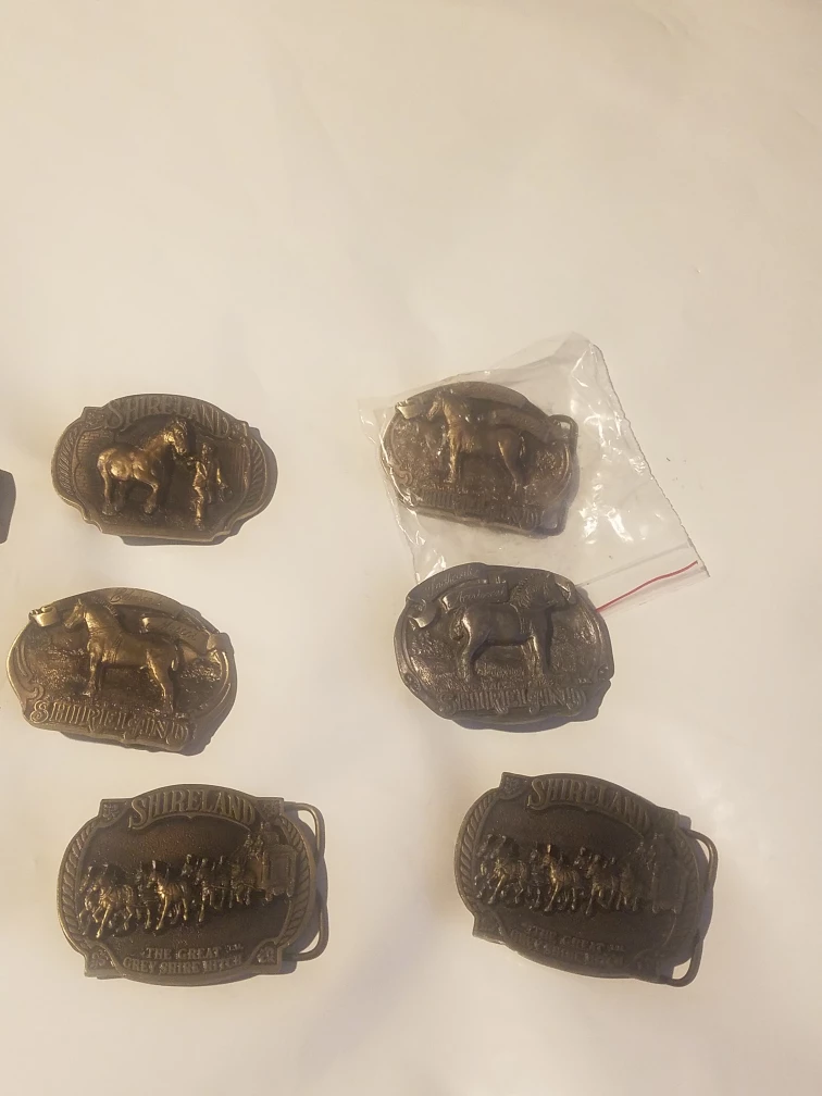Vintage Shireland Belt Buckles