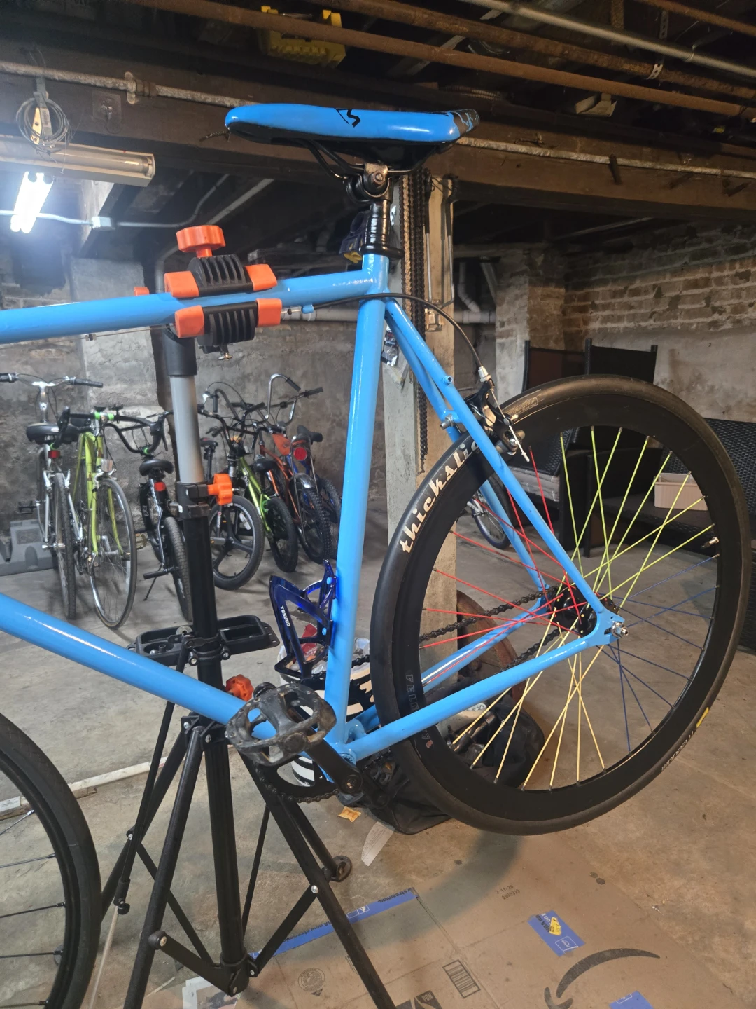 Blk- blu. 700c. Free wheel road bike