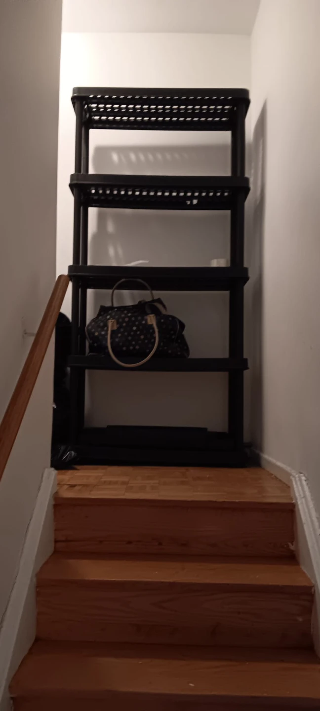 Black 4-Tier Plastic Shelving Unit