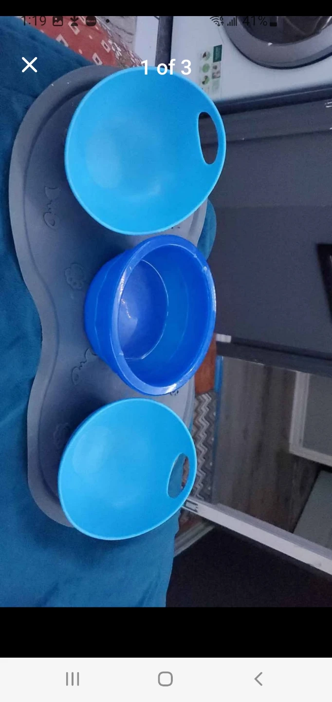 Free Pet Silicone mat with 3 Bowls