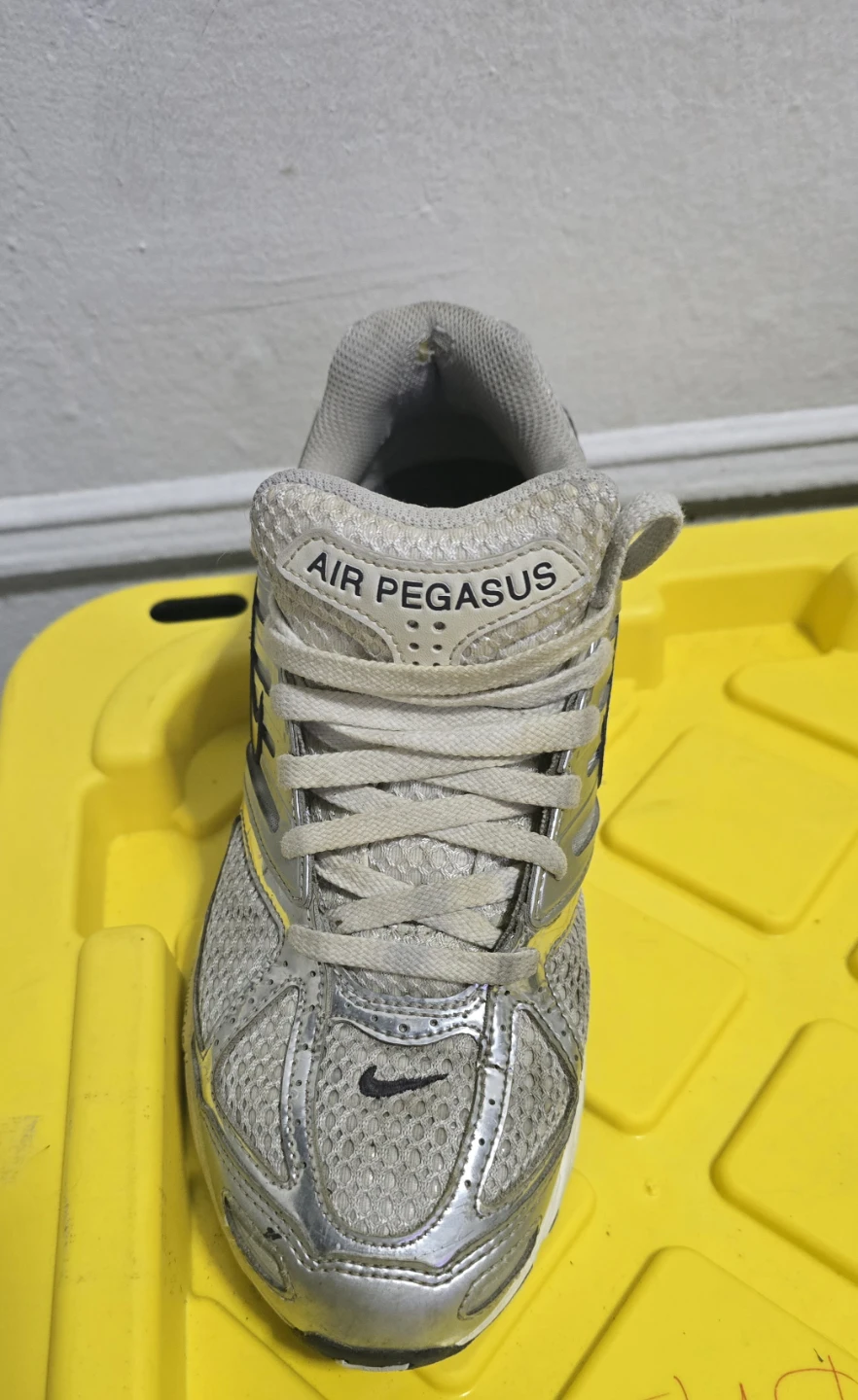 Nike Air Pegasus Running Shoes Silver
